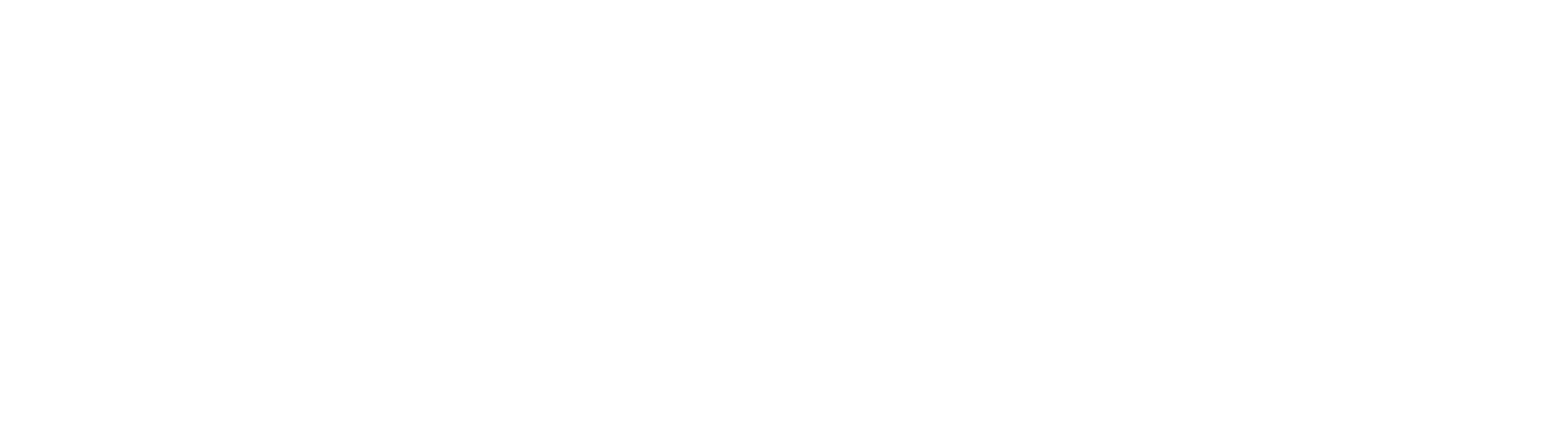 site white logo